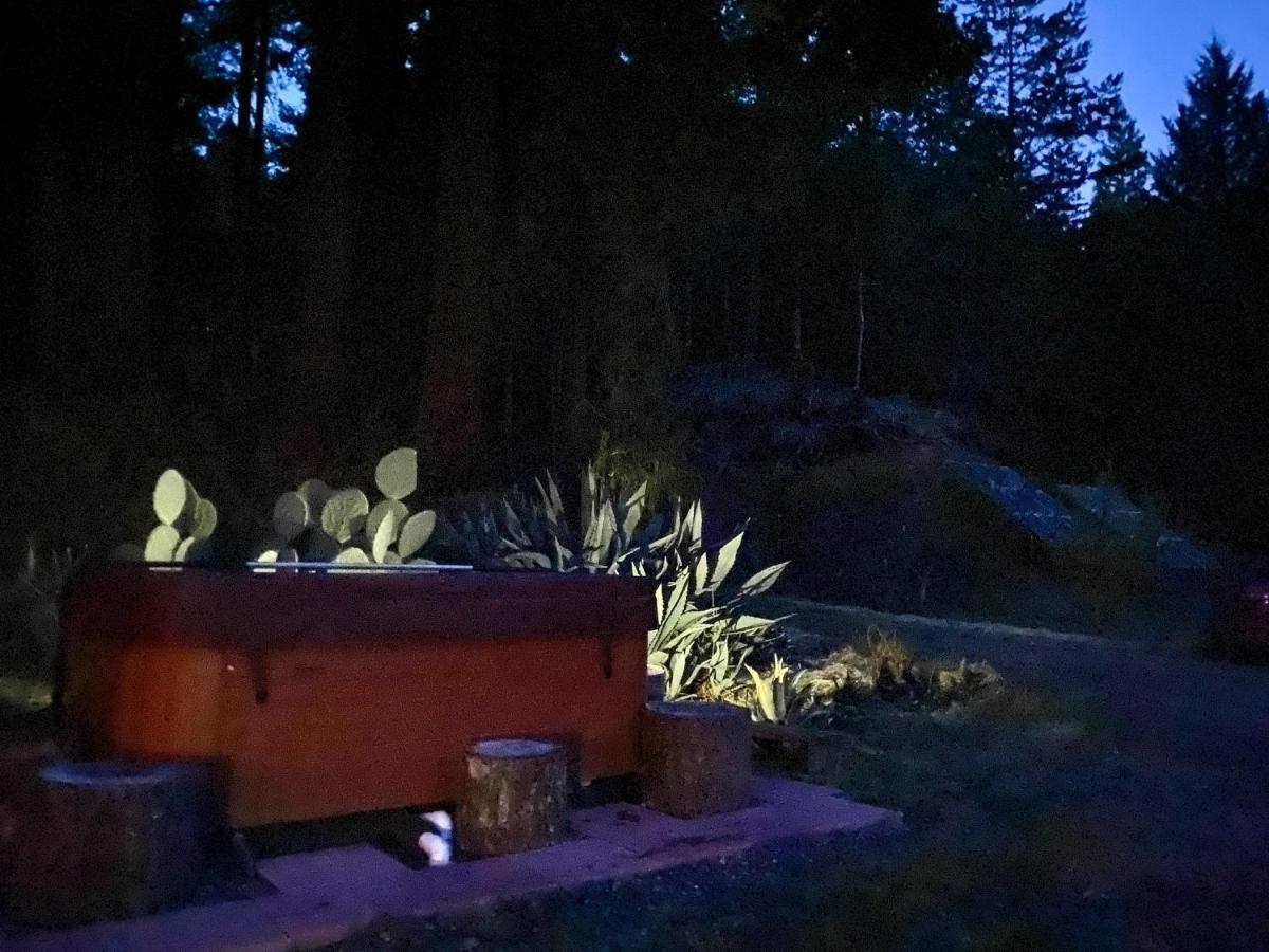 Отель Glamping In The Redwoods With A Hot Tub! Гарбервилл Экстерьер фото