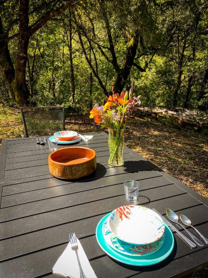 Отель Glamping In The Redwoods With A Hot Tub! Гарбервилл Экстерьер фото